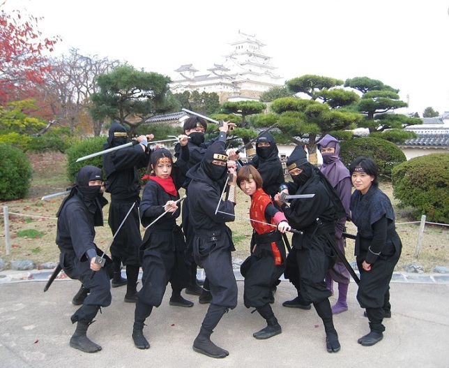 Ninjas en Himeji (foto 222.ninja)