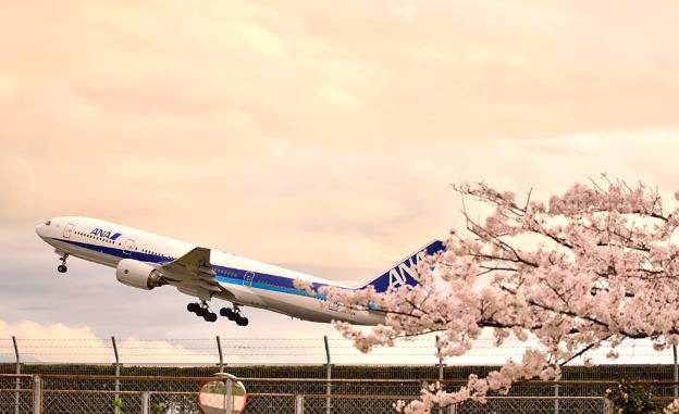ANA