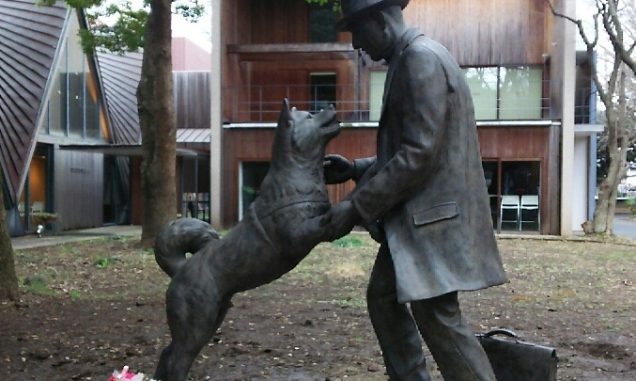Hachiko