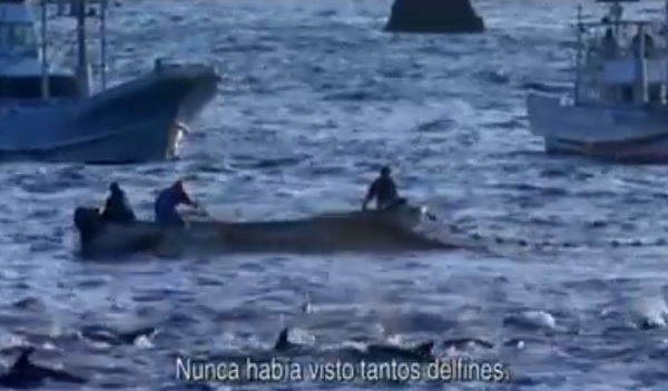 Una imagen de la película The Cove sobre la masacre de delfines en Taiji.
