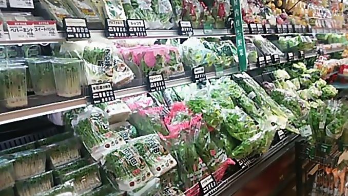 Hortalizas en supermercado japones