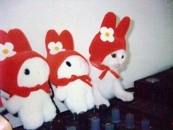 My Melody