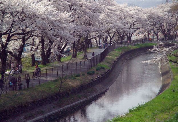 Acueducto de Tamagawa (foto Wikipedia)
