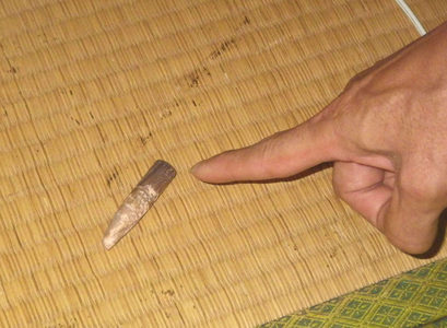Bala encontrada en Shiga (Foto Policìa Provincial de Shiga)