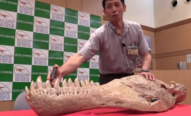 Dinosaurio