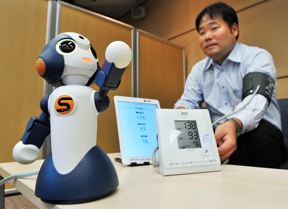 Sota (foto Nikkei)