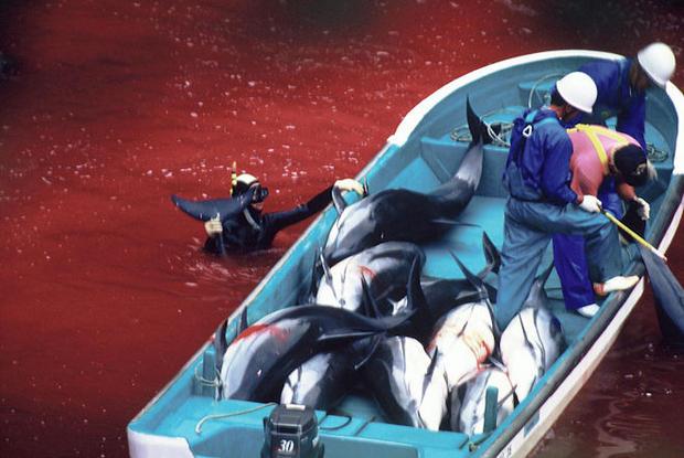 Taiji