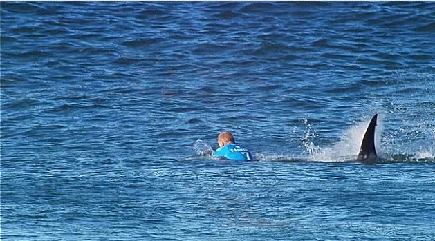 Tiburon ataca a surfista