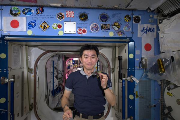 Kimiya Yui probando el primer producto cultivado y cosechado en órbita (foto Twitter)