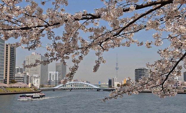 Tokio