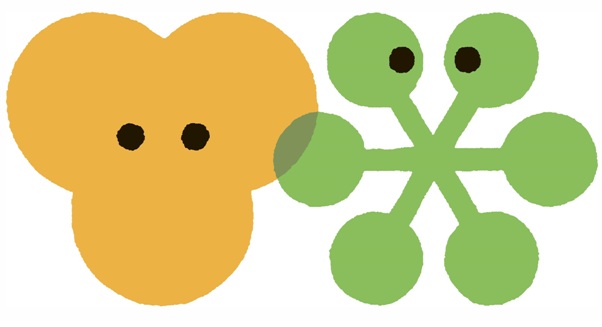 Zoo