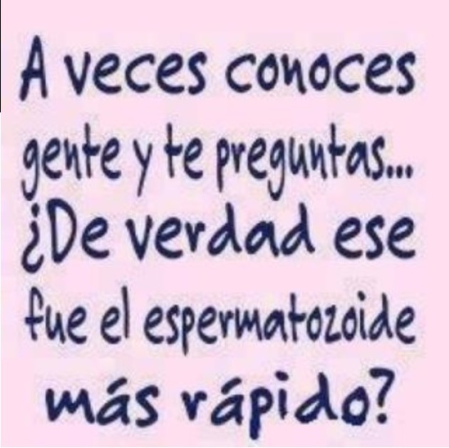 frases curiosas (2)