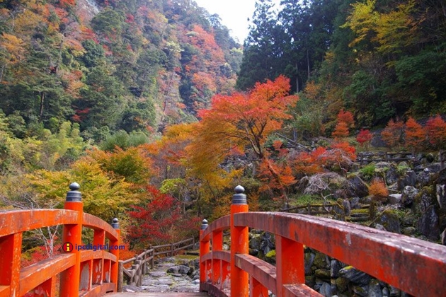 10 Yasuikeikoku en Kochi