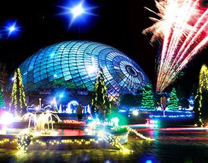 Fuyu no flower ilumination en Tottori Hanakairo