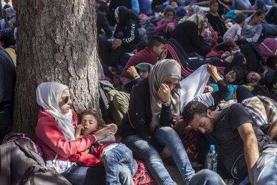 Refugiados
