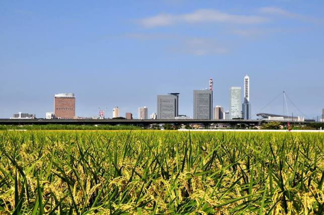 Saitama (foto city.saitama.jp)