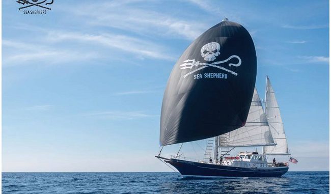 Sea Shepherd