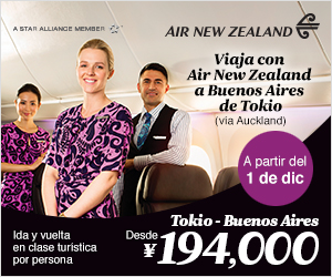 AirNZ_SA_300x250_ES