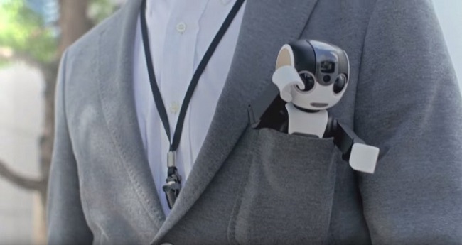 RoBoHon