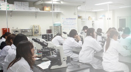 Universidad de Kioto