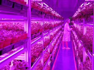Fábrica de Panasonic en Singapur (foto Nikkei)