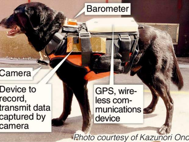 Foto: Kazunari Ono / Yomiuri Shimbun