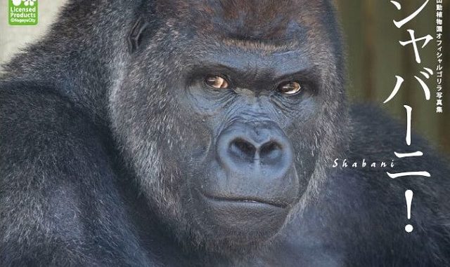 Shabani
