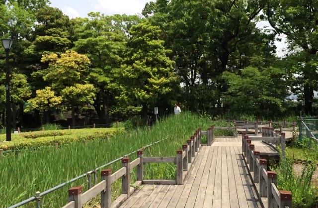 Parque