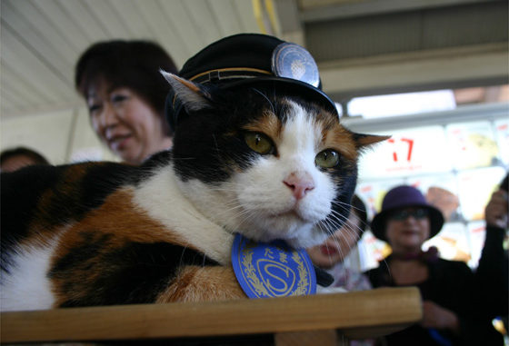 Tama