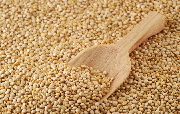 Quinua peruana.