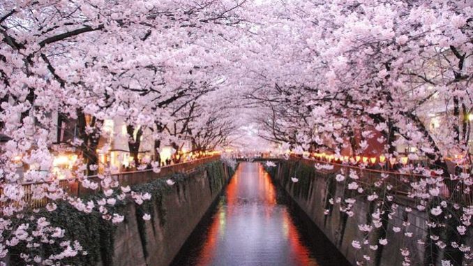 1 Meguro gawa en Tokio.