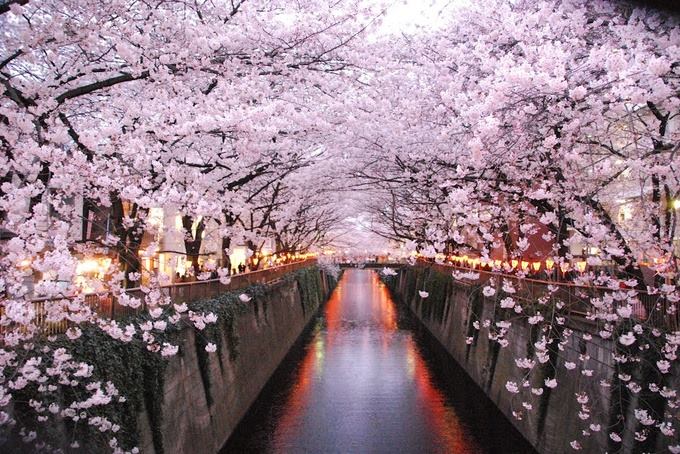 1 Meguro gawa en Tokio.