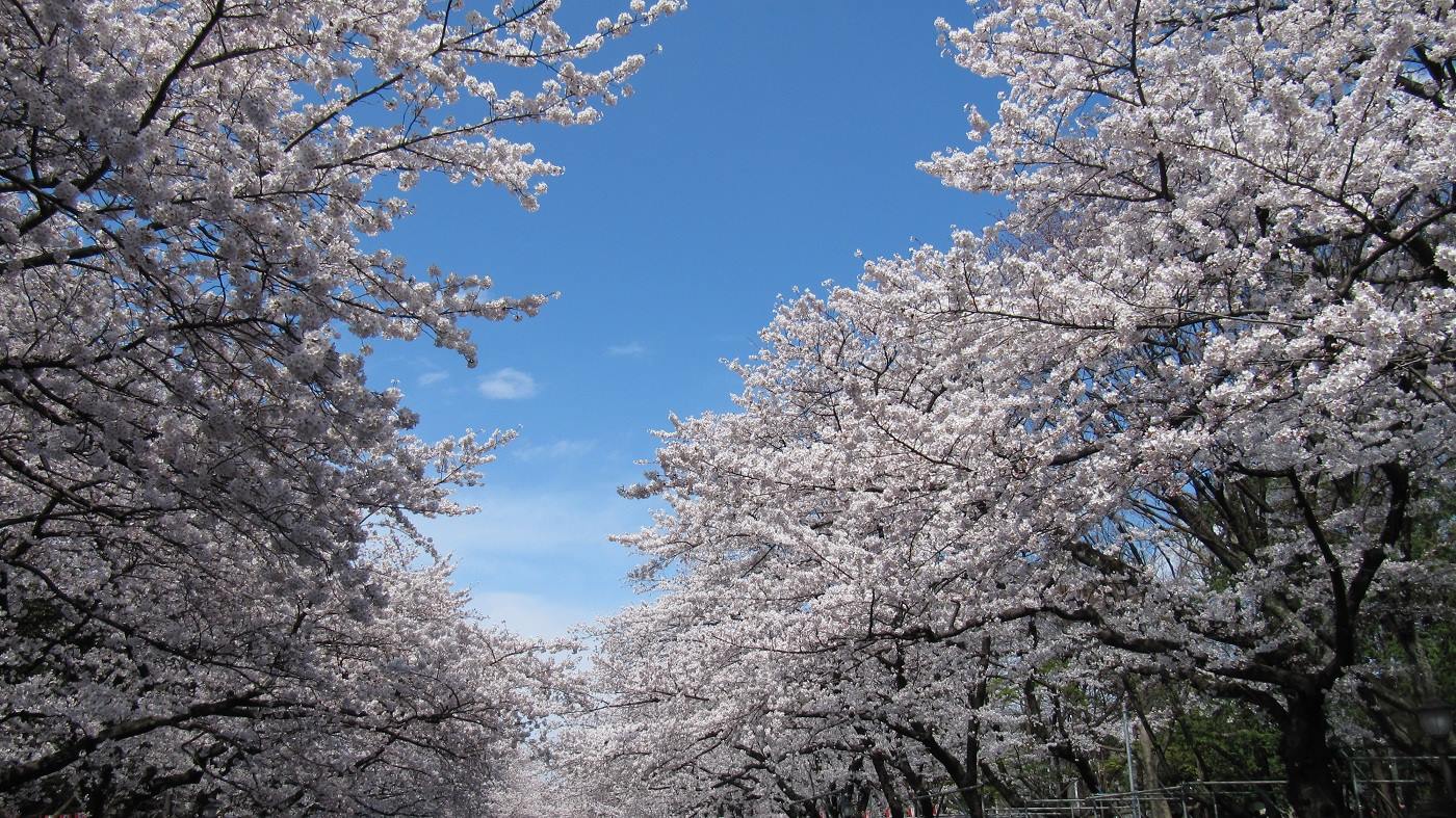4 Ueno Onshi Koen.