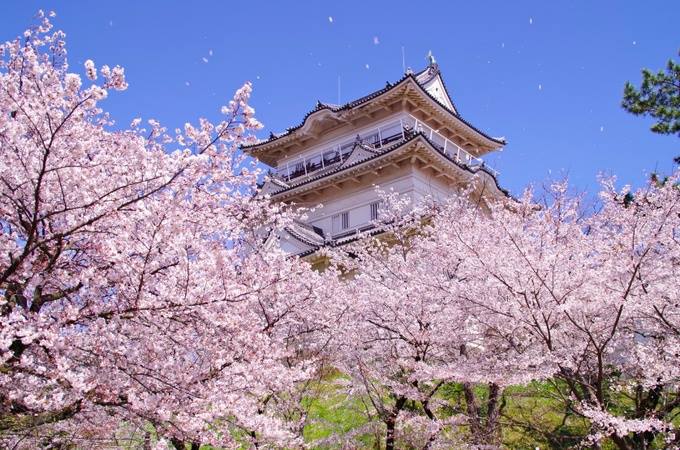 8 Odawarajyo Koen en Kanagawa.