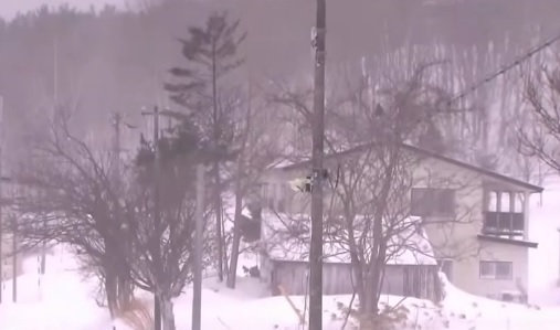 Nieve