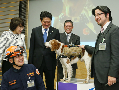 Robodog