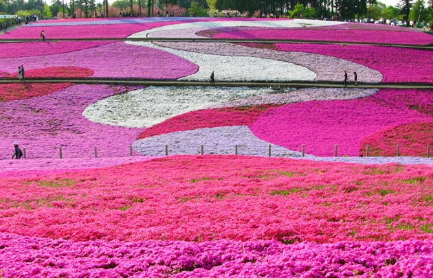 5.Hitsujiyama Koen en Saitama