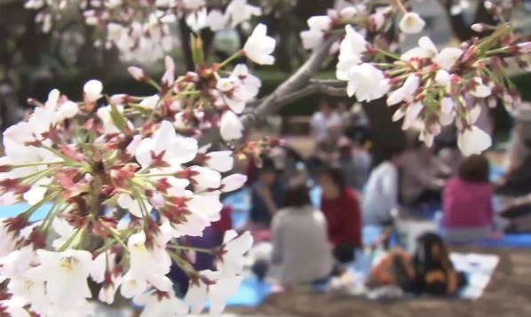 Hanami