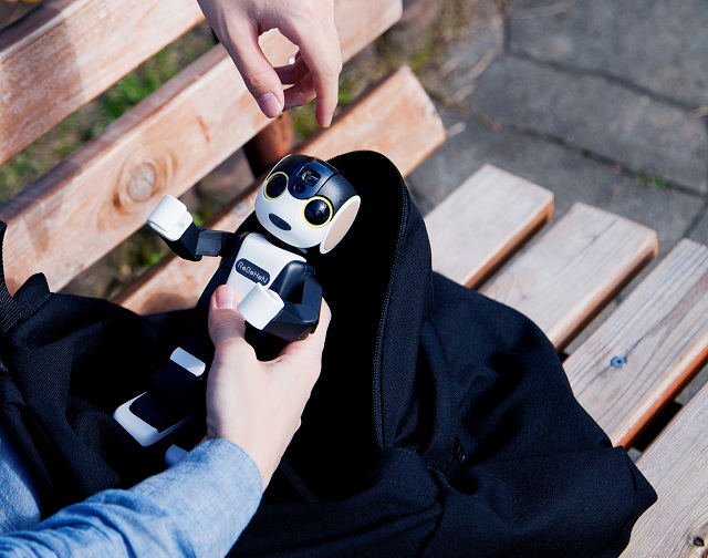 Foto robohon.com