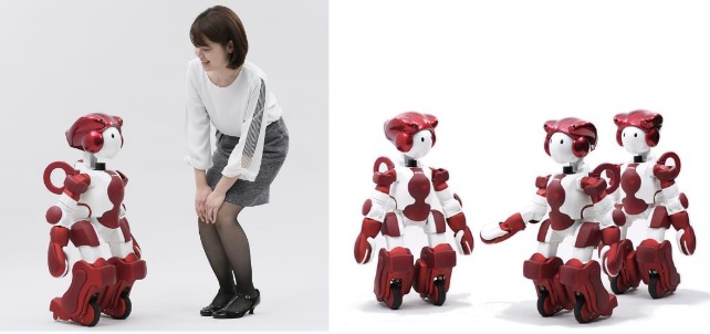 Robot