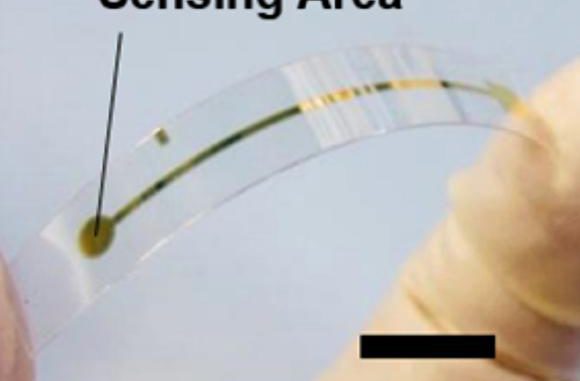 Sensor