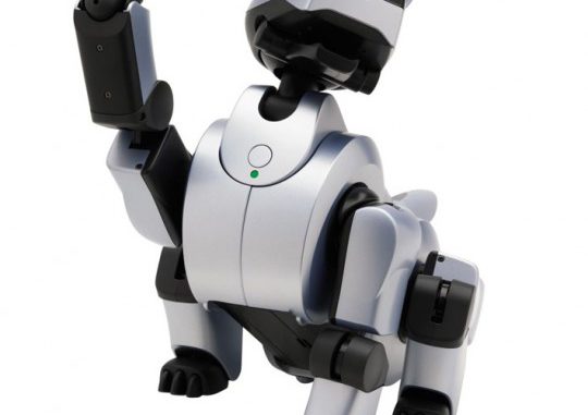 Aibo