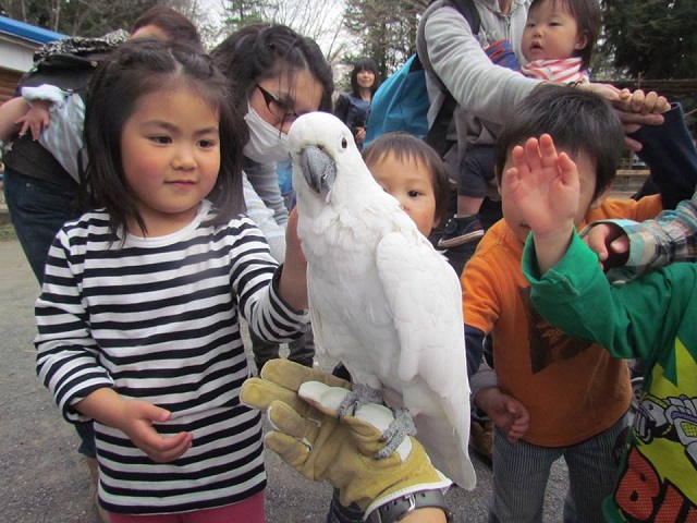 Foto Chikozan Park