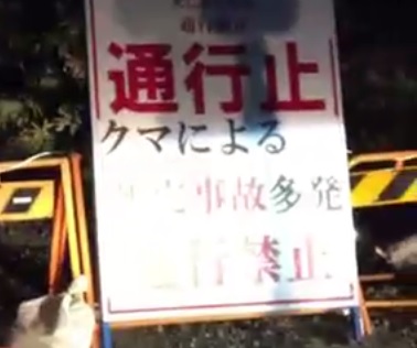 Oso