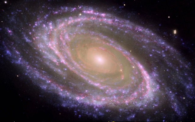 Universo