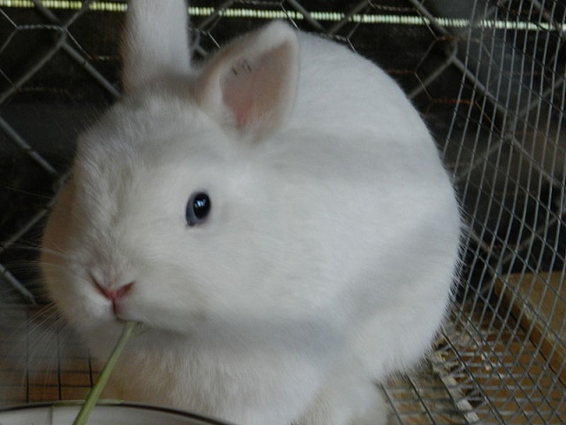 Foto Shadow48576