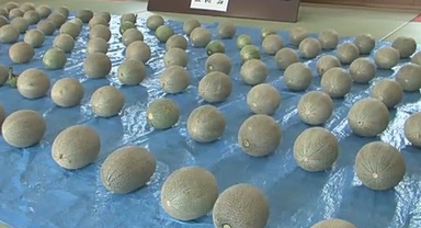 Melones