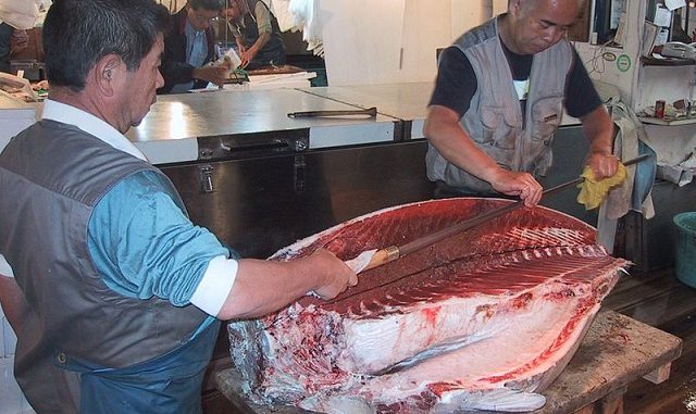 Mercado de Tsukiji