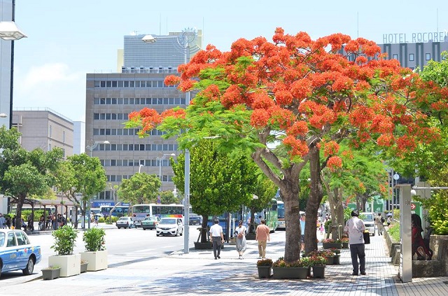 Naha (foto city.naha.okinawa.jp)