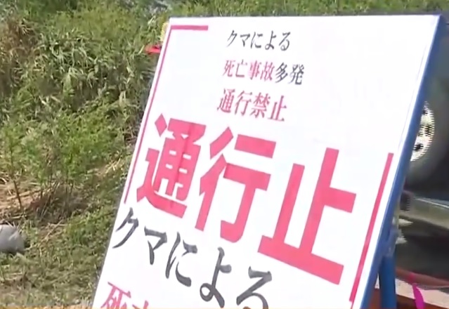 Oso